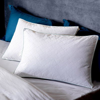 Firm Down Blend Bed Pillow White Noise Queen Bed Pillows You'll Love | DailyMail